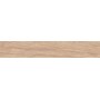 Tilia 200x1200 Honey Sp 8,5mm Rettificato