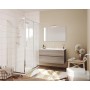 EASY COMPOSIZIONE ROVERE FUMO DA 100CM P45 H50