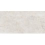 BOLD SILVERY NATURALE 60X120 Rectifié