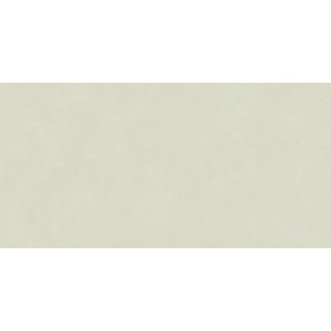 INSIDEART COLOR MINT SOFT 60X120 Rectifié