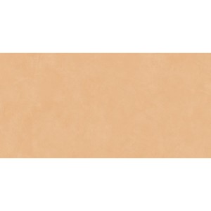 INSIDEART COLOR SUNSET SOFT 60X120 Rectifié