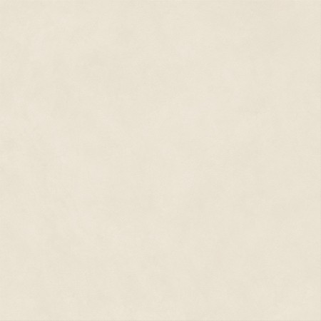 BOOST NATURAL PRO SALT GRIP 120X120 Rectifié