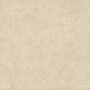 BOOST NATURAL PRO OAT 60X60 Rectifié 2CM