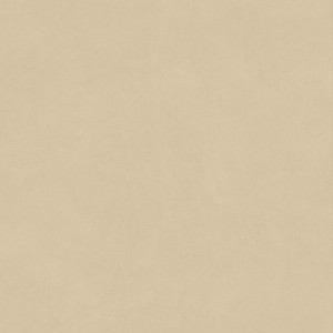 BOOST NATURAL PRO SAND 120X120 Rectifié
