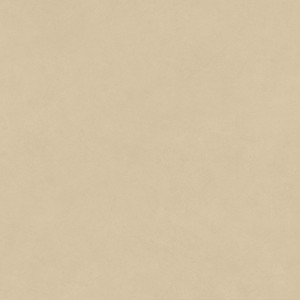 BOOST NATURAL PRO SAND GRIP 120X120 Rectifié