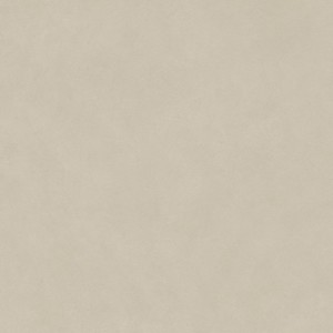 BOOST NATURAL PRO CINDER 120X120 Rectifié