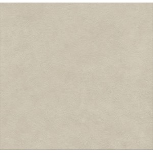 BOOST NATURAL PRO CINDER 60X60 Rectifié 2CM