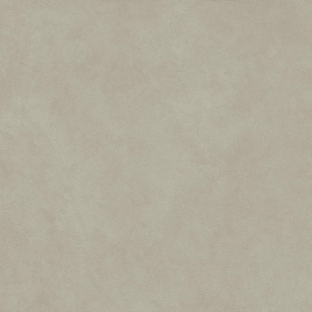 BOOST NATURAL PRO DOVE 120X120 Rectifié