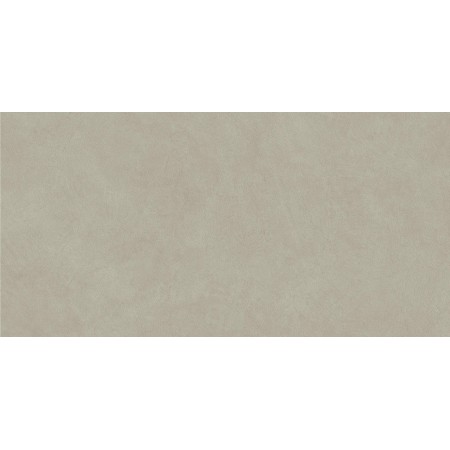 BOOST NATURAL PRO DOVE 60X120 Rectifié