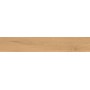 ENTICE PALE OAK NATURAL 20x120 Rectifié