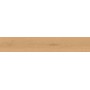 ENTICE PALE OAK NATURAL 20x120 Rectifié
