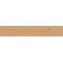 ENTICE PALE OAK NATURAL 20x120 Rectifié
