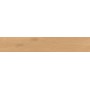 ENTICE PALE OAK NATURAL 20x120 Rectifié