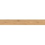 ENTICE PALE OAK NATURAL 18,5x150 Rectifié