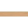 ENTICE PALE OAK NATURAL GRIP 20x120 Rectifié