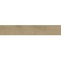ENTICE ASH OAK NATURAL 20x120 Rectifié