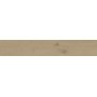 ENTICE ASH OAK NATURAL 20x120 Rectifié