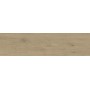 ENTICE ASH OAK NATURAL OUTDOOR 30x120 rectifié - 20MM