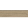 ENTICE ASH OAK NATURAL OUTDOOR 30x120 rectifié - 20MM