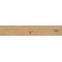 LOG ICON OAK 20X120 MAT Rectifié