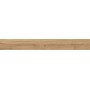 LOG ICON OAK FOREST 20X180 MAT Rectifié