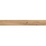 LOG ICON OAK FOREST 18,5x150 MAT Rectifié
