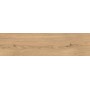 LOG ICON OAK FOREST OUTDOOR 30X120 MAT Rectifié 20MM