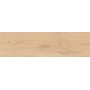 LOG BRIGHT OAK FOREST OUTDOOR 30X120 MAT Rectifié 20MM