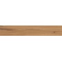 LOG AMBER OAK FOREST 20X120 MAT Rectifié