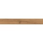 LOG AMBER OAK FOREST 18,5x150 MAT Rectifié