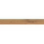 LOG AMBER OAK FOREST 18,5x150 MAT Rectifié