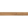 LOG AMBER OAK FOREST 18,5x150 MAT Rectifié