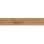 LOG AMBER OAK FOREST GRIP 20X120 MAT Rectifié