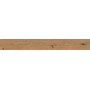 LOG DEEP OAK 18,5x150 MAT Rectifié