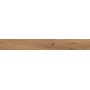 LOG DEEP OAK FOREST 18,5x150 MAT Rectifié