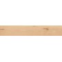 LOG CANSEI RIALTO GRIP 20X120 Rectifié