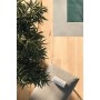 LOG CANSEI MURANO GRIP 20X120 Rectifié