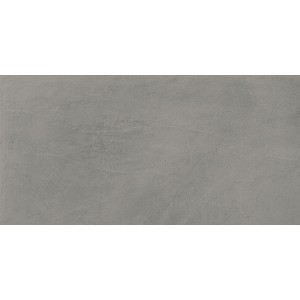 PRISM FOG SILK 30X60 Rectifié