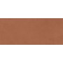 PRISM CARAMEL MATT 50X120