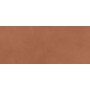 PRISM CARAMEL MATT 50X120