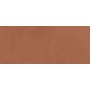 PRISM CARAMEL MATT 50X120