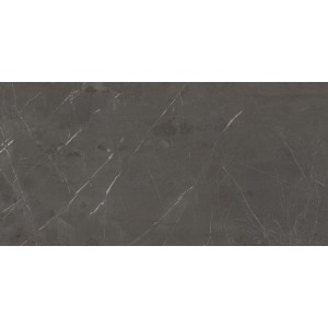 MARVEL DIVA PRECIOUS BROWN VELVET 60X120 Rectifié