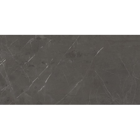 MARVEL DIVA PRECIOUS BROWN VELVET 60X120 Rectifié
