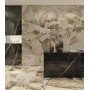 MARVEL GALA DESERT SOUL LUCIDO 60X120