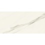 MARVEL MERAVIGLIA CALACATTA MERAVIGLIA MATT 60X120 Rectifié