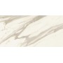 MARVEL MERAVIGLIA CALACATTA BERNINI LUCIDO 30X60 Rectifié