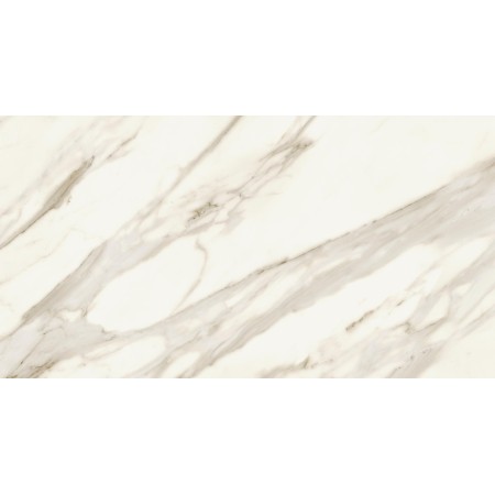 MARVEL MERAVIGLIA CALACATTA BERNINI LUCIDO 60X120 Rectifié