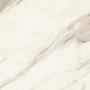 MARVEL MERAVIGLIA CALACATTA BERNINI MATT 60X60 Rectifié