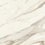 MARVEL MERAVIGLIA CALACATTA BERNINI MATT 60X60 Rectifié