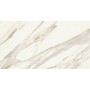 MARVEL MERAVIGLIA CALACATTA BERNINI MATT 60X120 Rectifié